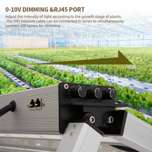 Lámpara <span class=keywords><strong>de</strong></span> <span class=keywords><strong>Cultivo</strong></span> <span class=keywords><strong>LED</strong></span> <span class=keywords><strong>de</strong></span> Espectro Completo <span class=keywords><strong>de</strong></span> 1000W, Regulable, para <span class=keywords><strong>Cultivo</strong></span> Vertical Comercial, con Samsung SMD281B - Product Image 4