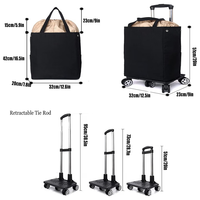 Chariot de courses pliable avec roues pour monter les escaliers, sac isotherme, capacité de 20 kg pour un transport et des courses faciles