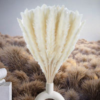 30 Pcs Rumput Pampas Putih Awet 17 Inci/45cm Dekorasi Rumah Dapur Taman Pesta & Fotografi Grosir Pasokan Massal