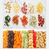 Industriële Commerciële Voedsel Dehydrator/Groente Fruit Drogen Machine Leverancier