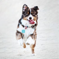 Traceur GPS intelligent pour animaux de compagnie, étiquette d'alarme Anti-perte de véhicule, dispositif de suivi sans fil, étiquette de sac, portefeuille, localisateur de clé de téléphone