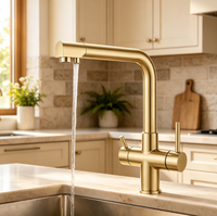 Robinet de cuisine moderne 3-en-1 en or brossé avec filtre, mitigeur double poignée pour évier