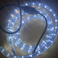 Fournisseur en gros de guirlandes LED rondes à double ligne IP65 résistantes à la neige de 13 mm, 220 V, RGB blanc chaud pour l'éclairage des parcs d'attractions et des fêtes