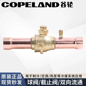 Robinet à bille Copeland 2 pouces NPT type gate pour réfrigérant et climatisation - Product Image 5