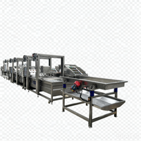 Productielijn voor het wassen, blancheren en koelen van BSF-larven, continu insectenlarvenverwerkingsapparatuur, aanpasbaar, CE & ISO gecertificeerd
