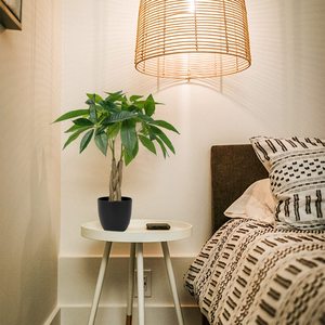 Tik Tok Fengshui giả tiền cây trong nhà giả chậu cây nhân tạo <span class=keywords><strong>pachira</strong></span> cây Quà Tặng May Mắn may mắn cho trang trí văn phòng nhà - Product Image 6