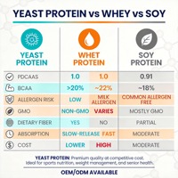 Poudre de protéines de levure 80% 83% PDCAAS 1.0 Sans OGM Sans gluten Sans lactose Libération lente Supplément BCAA OEM ODM