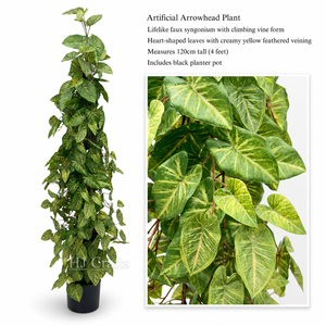 Pianta Artificiale Moderna di Ficus Lyrata (Foglie di Castagno d'Acqua) da 120 cm, Fogliame Verde Finto Ecologico e Durevole, Pianta in Vaso per Soggiorno, Ufficio, Scaffale - Product Image 2