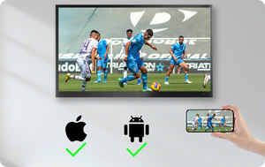 43 ''<span class=keywords><strong>4K</strong></span> soleil partiel <span class=keywords><strong>TV</strong></span> extérieure 1000NIT haute luminosité étanche Android HDR <span class=keywords><strong>TV</strong></span> tous temps durabilité Deck Pro Series - Product Image 5