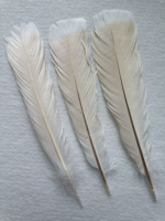Vente en gros de plumes de dinde teintes en vrac pour accessoires de carnaval et robes