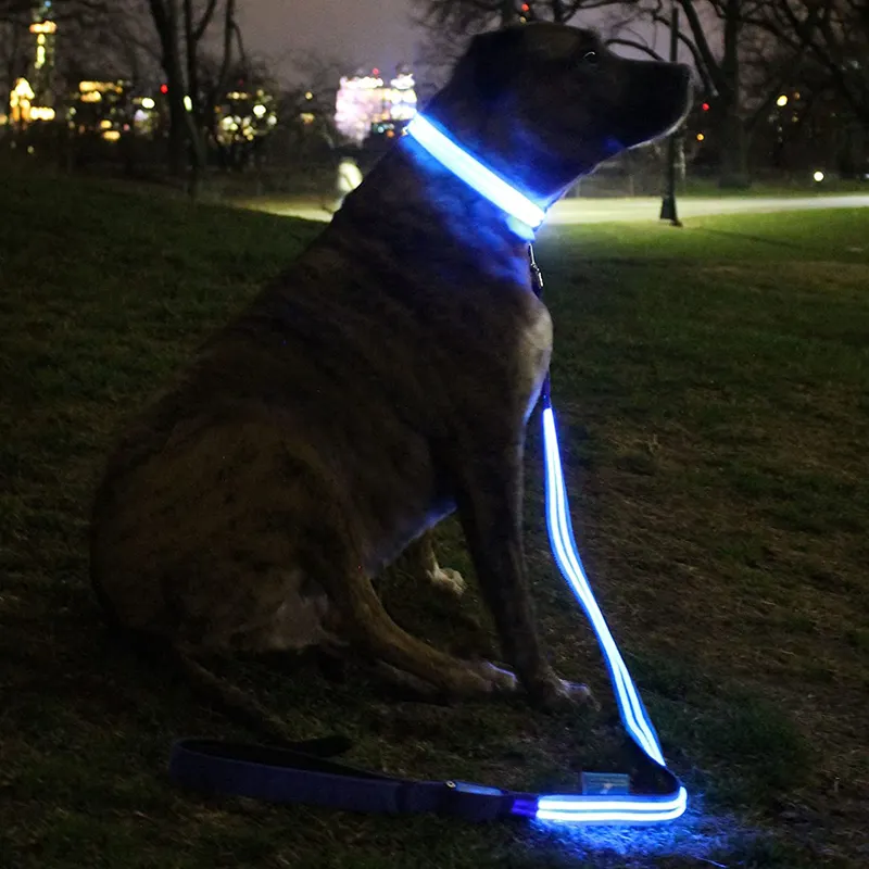 夜の安全ペット製品は犬の輝きを暗闇で導きました調整可能な明るい襟は犬の鎖を照らします