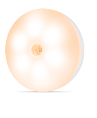 Motion sensor/white light