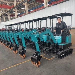 Europäisch-Amerikanischer 1-Tonnen-Minikettenbagger, Bestseller, kundenspezifisch angepasst, chinesische Fabrik, EPA- und CE-zertifiziert, Koop 192F 12000W, 1 Jahr Garantie - Product Image 3