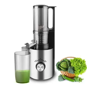 250W Electric Nutrition System Lar Feed Chute Transparent Juicer Cup Slow Juice Machine for Vetable and Fruit Juice Extraction