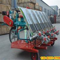 Transplanteuse de riz agricole automatique diesel haute vitesse 6-8 rangs pour usage agricole avec moteur essentiel
