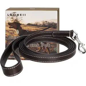 Kunden spezifisches Heavy Duty Adjusta ble Durable Leather Premium Hunde halsband und Leinen-Set