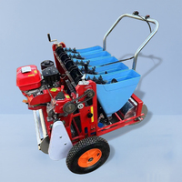 Planteuse d'ail électrique automatique Haomin pour usage domestique, petite, avec moteur, haute productivité, 6 rangs