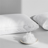 Oreillers de lit moelleux et doux pour hôtel 5 étoiles, antibactériens, lavables, à bords doubles, 100% polyester, OEM ODM