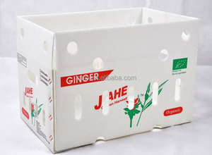 Boîte de gingembre pliable recyclable personnalisable PP ondulé étanche pour usage <span class=keywords><strong>agricole</strong></span> - Product Image 2