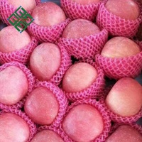 Chinese Appel Heerlijke Koninklijke Gala Appels Verse Rode Fuji Appel