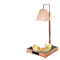 Table Chauffante Électrique en Acier Inoxydable pour Buffet d'Hôtel, Conservation de la Chaleur des Aliments pour Traiteur, Barbecue, Pizza, Restaurant, Utilisation au Bureau