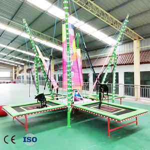 Großhandel Elektrisches <span class=keywords><strong>Bungee</strong></span>-Trampolin Outdoor Jahrmarkt Vergnügungspark Fahrgeschäfte für Kinder Mobiles Spiel für Park & Garten - Product Image 2