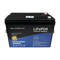 Baterai Lithium LFP 25.6V 100Ah 24V Siklus Dalam untuk Penyimpanan Energi, Sistem Surya RV, Distributor Daya Traksi Kelautan