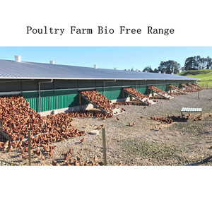 Nave Prefabricada para Cría de Pollos, Granja Avícola, Fábrica de Matanza de Aves - Product Image 2