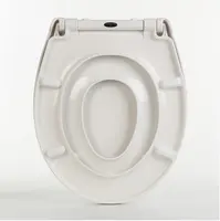 Kaufen Sie china toiletten deckel von ausgezeichneter Qualität - Alibaba.com