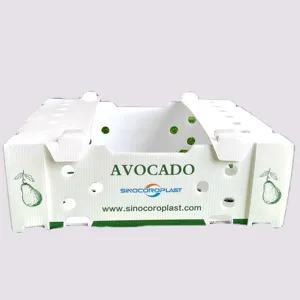 新鲜蔬菜水果塑料PP瓦楞纸箱鳄梨包装盒