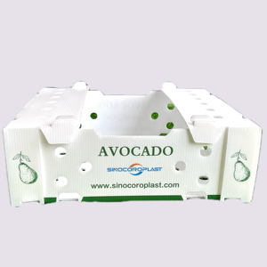 Fresh Vegetables and Fruit Plastic PP Corrugated <strong>Box</strong> Avocado <strong>Packgeing</strong> <strong>Box</strong> - Product Image 1