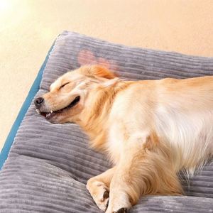Pet <b>Bed</b> Luxury Velvet Plush Eco-Friendly Rectangle Autumn/Winter Universal Large Dog & Cat Removable Washable Sleeping <b>Pad</b> - Product Image 5