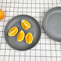 Assiettes et Plats en Plastique Incassable de 10 Pouces de Haute Qualité pour la Restauration en Gros, avec Logo, Idéales pour le Camping