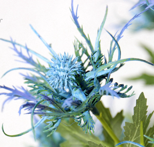 Real Touch Silk Eryngium Flower Artificial Sea Holly Thistle <span class=keywords><strong>Spray</strong></span> Conservado de aspecto natural Ramo DE BODA Navidad - Product Image 5