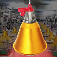 Kit complet de lampe chauffante pour élevage de 250W haute puissance avec abat-jour et support pour porcelets, volailles et bétail
