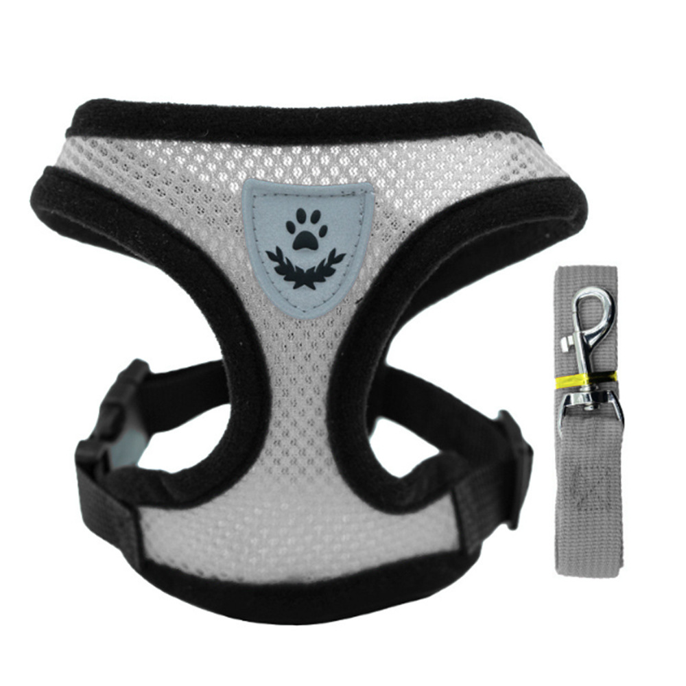 Silver mesh chest and back gray