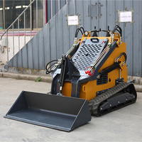 Mini-chargeuse sur pneus TR38 EPA, charge utile de 300 kg, chargeuse compacte sur chenilles avec moteur Briggs Stratton