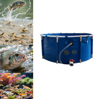 Bassin pliable en PVC personnalisable de 700 L, haute capacité, imperméable, anti-acide, résistant, pour l'élevage de poissons koï, crevettes et tilapias