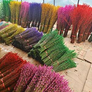 2024 Natural <span class=keywords><strong>Salix</strong></span> plata sauce flores secas plantas coño sauce para el hogar Año Nuevo decoración <span class=keywords><strong>flor</strong></span> - Product Image 6