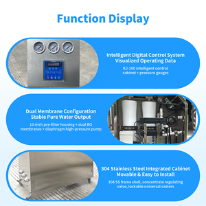 Système d'eau compact en acier inoxydable 250L/h, équipement haute efficacité pour la purification, pompe et PLC pour cuve - Product Image 4