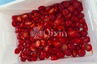 Groentefruit Half Split Cutter 304 Roestvrij Staal Half Snijmachine Voor Citroenkool Tomatenpeper Motor Cherry Tomaatjes