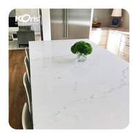 Plaques en plastique acrylique Staron Solid Surface Color Big Slab 3660*760*12mm avec garantie de 10 ans