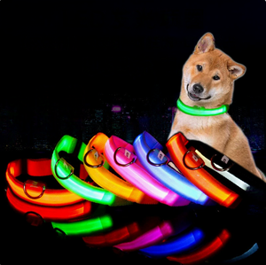 Collier lumineux pour chien pour les promenades nocturnes, collier LED rechargeable à changement de couleur, colliers pour chien qui brillent dans le noir, imperméables - Product Image 1
