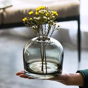 <span class=keywords><strong>Florero</strong></span> de Vidrio Creativo Minimalista Nórdico de Lujo para Cultivar <span class=keywords><strong>Flores</strong></span> y Arreglos Florales - Product Image 4