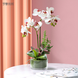 Bất động cảm ứng nhân tạo phalaenopsis hoa phong lan Bonsai Chậu giáng sinh trang trí nội thất cho nhà hoặc khách sạn - Product Image 2