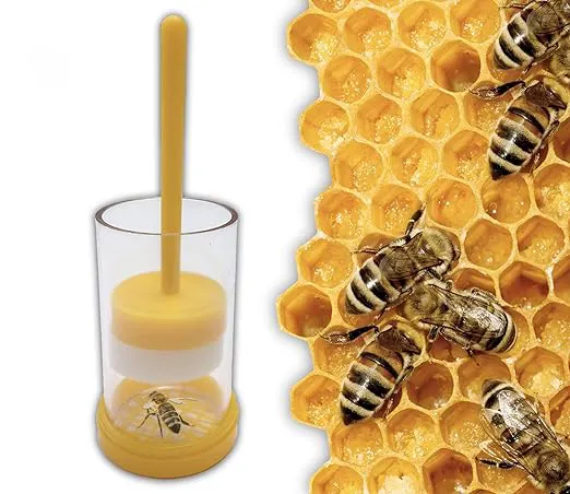 自動女王蜂マーキングケージ、軽量養蜂ツール養蜂家のための養蜂のための実用的な蜂マーキングチューブ