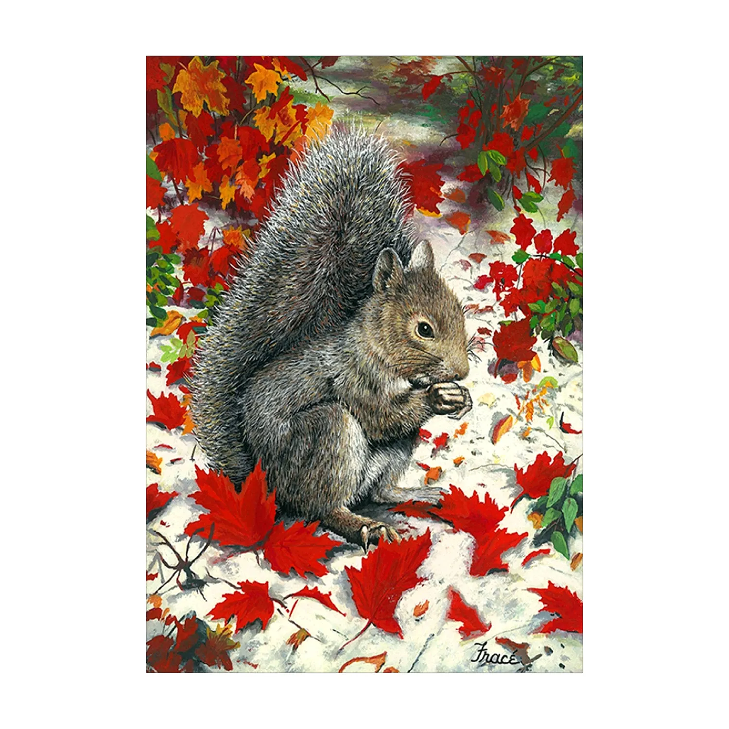 Factory wholesale Diamond Painting Kit animal squirrel Canvas Home Decoration diamond art