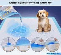 Vente en gros de coussinets pour chiots bleus respirants, à haute absorption, à absorption rapide de l'eau, anti-fuites, 60x60cm, coussinets pour animaux domestiques pour chiens et chats, Japon