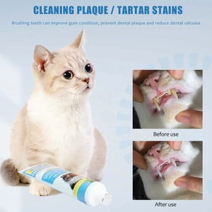 Emballage en boîte de couleur <span class=keywords><strong>pour</strong></span> chiens, soins dentaires <span class=keywords><strong>pour</strong></span> chats, pâte dentaire <span class=keywords><strong>pour</strong></span> chiens, dentifrice <span class=keywords><strong>pour</strong></span> animaux de compagnie, vente en gros - Product Image 3