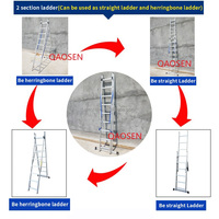 Modernes Design 2-teilige Ausziehbare Aluminiumlegierung 6063 Silber Mehrzweck-Industrieleiter CE-Zertifiziert 150kg Traglast Lagerhaus